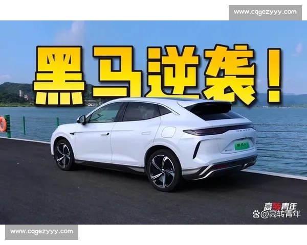 从黑马崛起到格局重塑解析新势力逆袭背后的逻辑时代机遇与战略选择